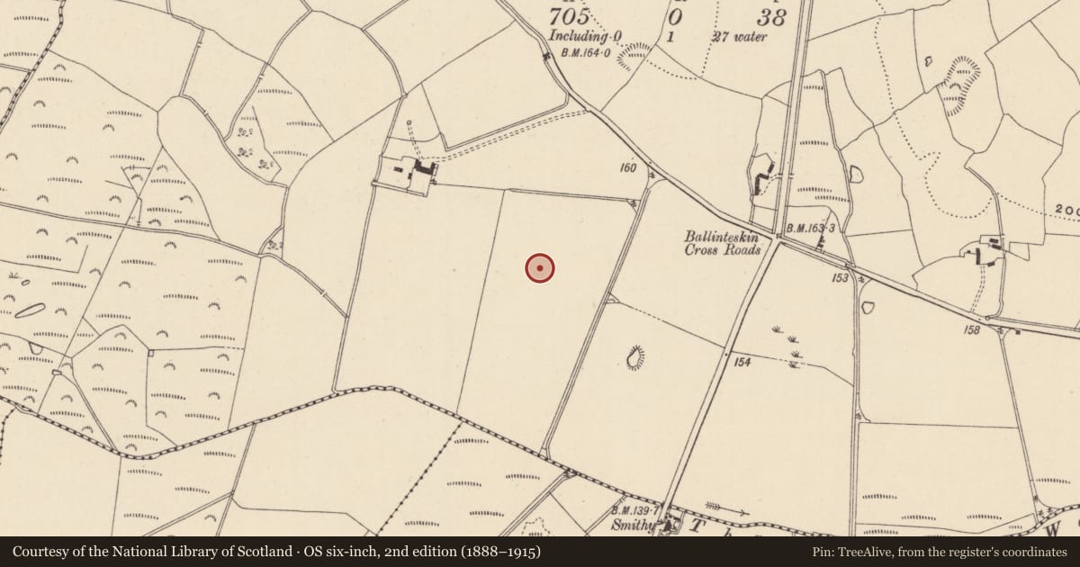 Ordnance Survey six-inch map, 2nd edition (1888–1915) covering the location of Enclosure, Ballinteskin, County Wicklow, with a pin at the register's coordinates