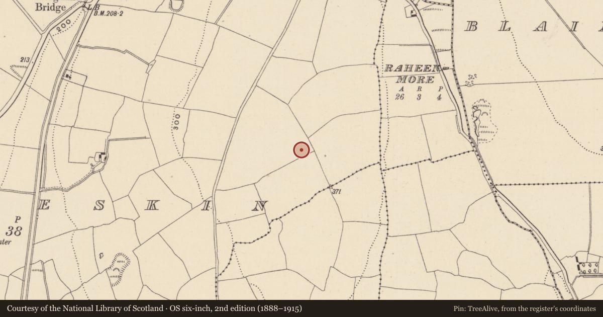 Ordnance Survey six-inch map, 2nd edition (1888–1915) covering the location of Enclosure, Ballinteskin, County Wicklow, with a pin at the register's coordinates