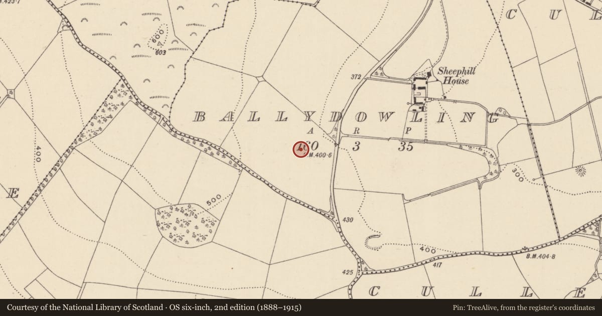 Ordnance Survey six-inch map, 2nd edition (1888–1915) covering the location of Enclosure, Ballydowling, County Wicklow, with a pin at the register's coordinates