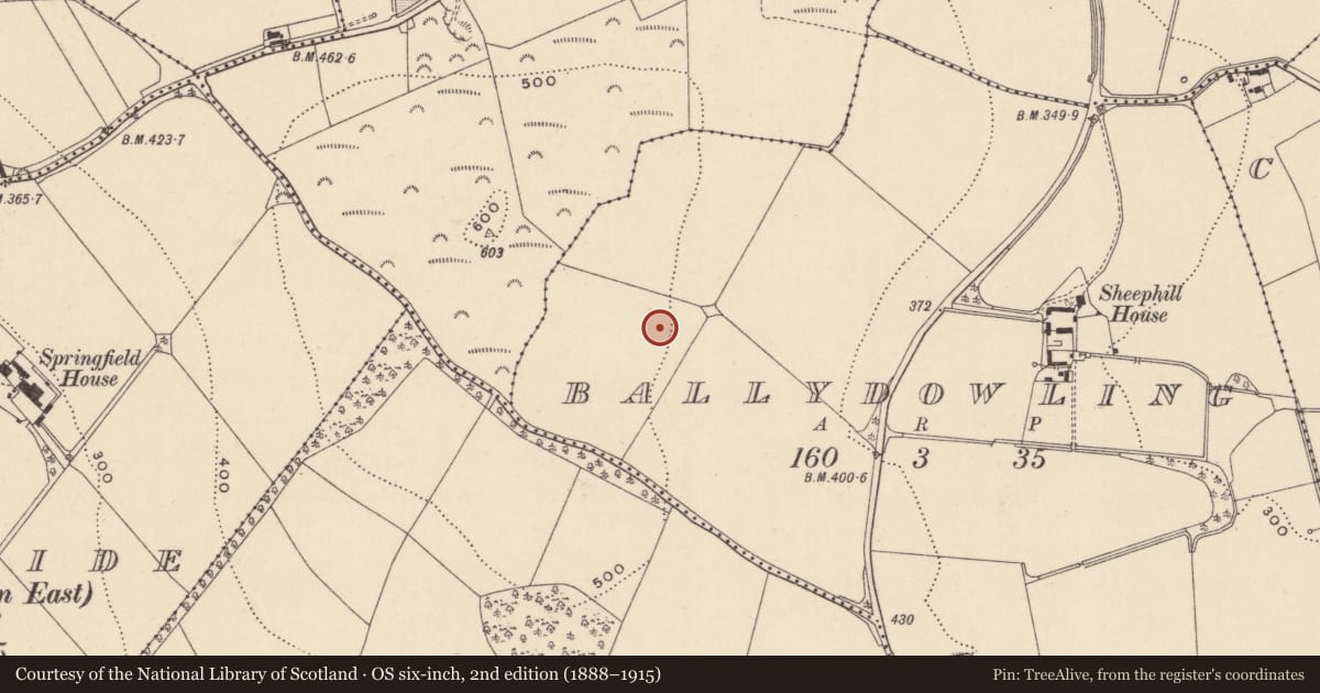 Ordnance Survey six-inch map, 2nd edition (1888–1915) covering the location of Enclosure, Ballydowling, County Wicklow, with a pin at the register's coordinates