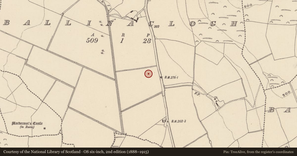 Ordnance Survey six-inch map, 2nd edition (1888–1915) covering the location of Hearth, Ballinaclogh, County Wicklow, with a pin at the register's coordinates