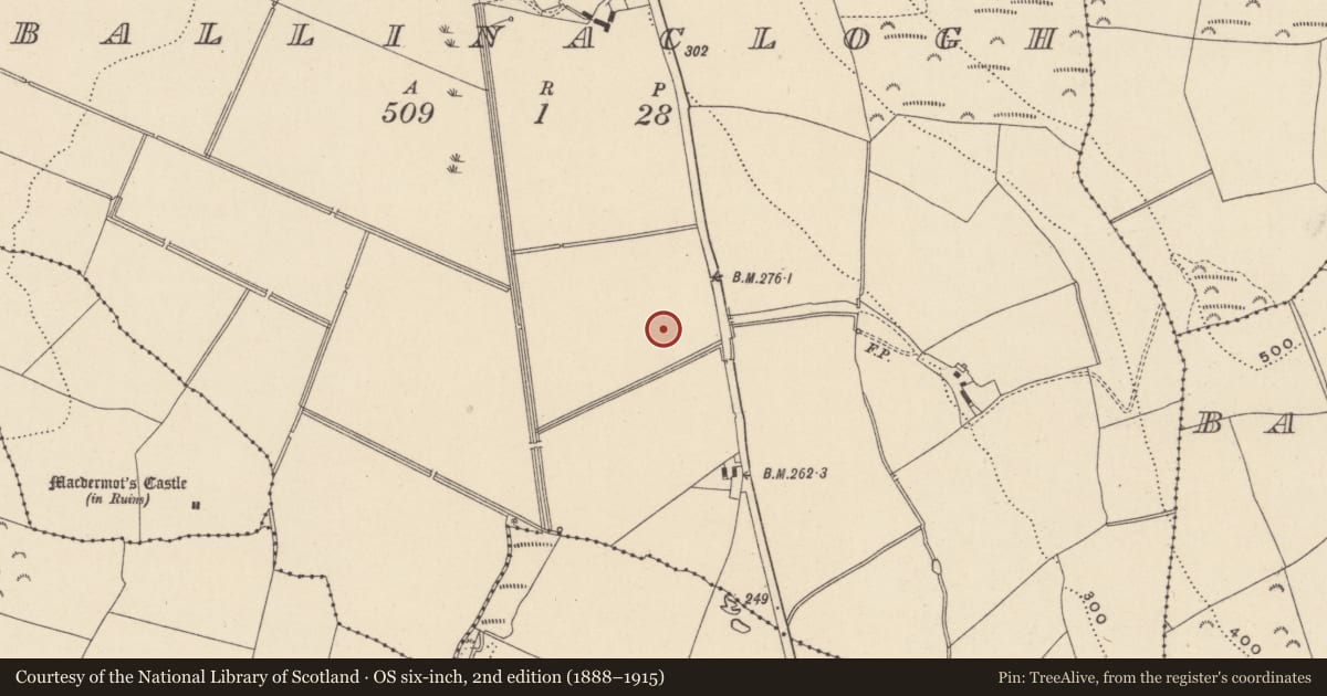 Ordnance Survey six-inch map, 2nd edition (1888–1915) covering the location of Fulacht fia, Ballinaclogh, County Wicklow, with a pin at the register's coordinates