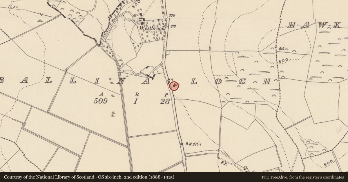 Ordnance Survey six-inch map, 2nd edition (1888–1915) covering the location of Pit, Ballinaclogh, County Wicklow, with a pin at the register's coordinates