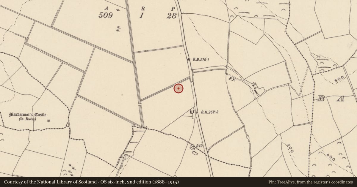 Ordnance Survey six-inch map, 2nd edition (1888–1915) covering the location of Excavation - miscellaneous, Ballinaclogh, County Wicklow, with a pin at the register's coordinates