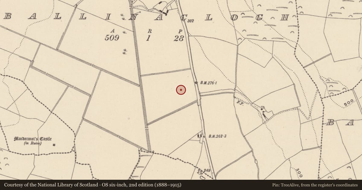Ordnance Survey six-inch map, 2nd edition (1888–1915) covering the location of Burnt mound, Ballinaclogh, County Wicklow, with a pin at the register's coordinates