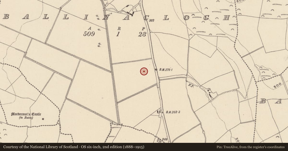 Ordnance Survey six-inch map, 2nd edition (1888–1915) covering the location of Burnt mound, Ballinaclogh, County Wicklow, with a pin at the register's coordinates