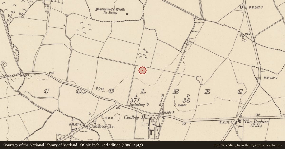Ordnance Survey six-inch map, 2nd edition (1888–1915) covering the location of Cremation pit, Coolbeg, County Wicklow, with a pin at the register's coordinates