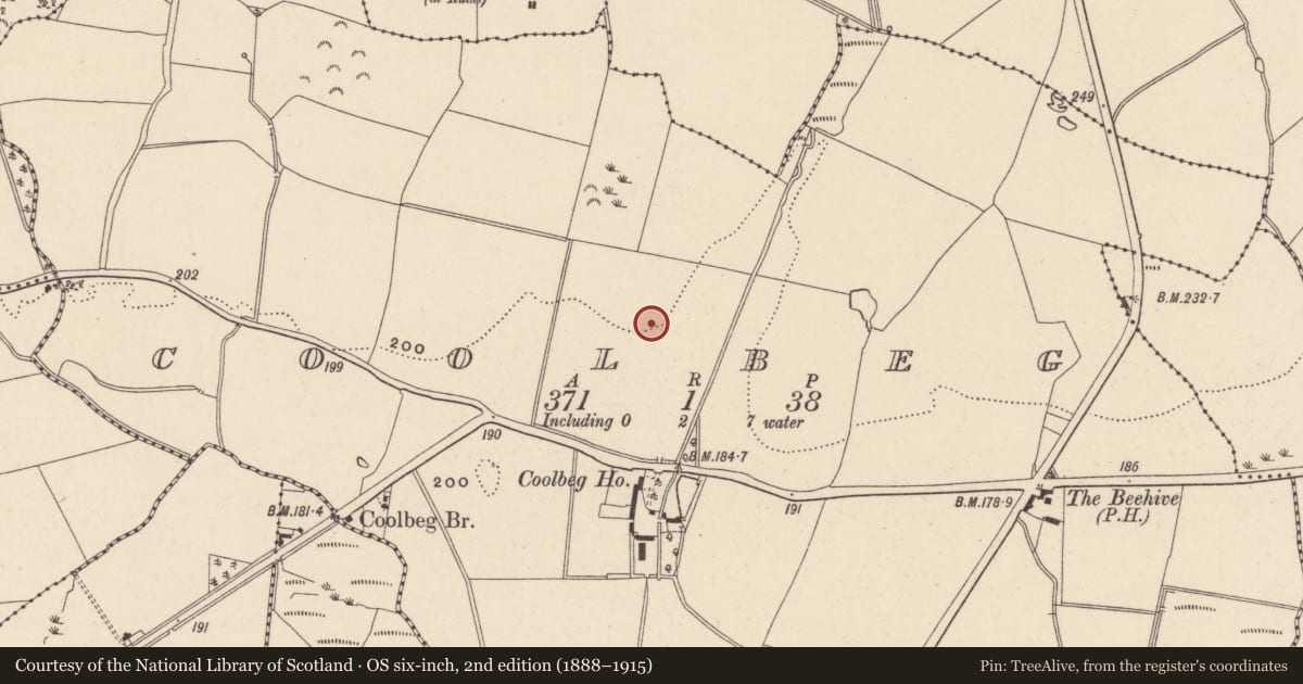 Ordnance Survey six-inch map, 2nd edition (1888–1915) covering the location of Excavation - miscellaneous, Coolbeg, County Wicklow, with a pin at the register's coordinates