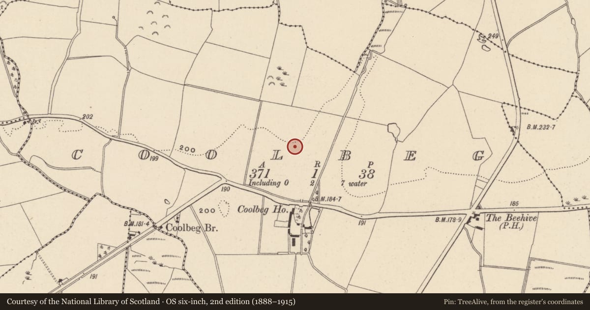 Ordnance Survey six-inch map, 2nd edition (1888–1915) covering the location of Ring-ditch, Coolbeg, County Wicklow, with a pin at the register's coordinates