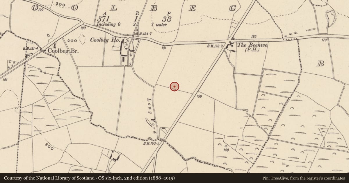 Ordnance Survey six-inch map, 2nd edition (1888–1915) covering the location of Burnt spread, Coolbeg, County Wicklow, with a pin at the register's coordinates