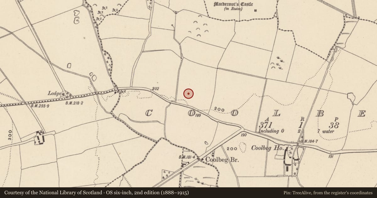Ordnance Survey six-inch map, 2nd edition (1888–1915) covering the location of Fulacht fia, Coolbeg, County Wicklow, with a pin at the register's coordinates