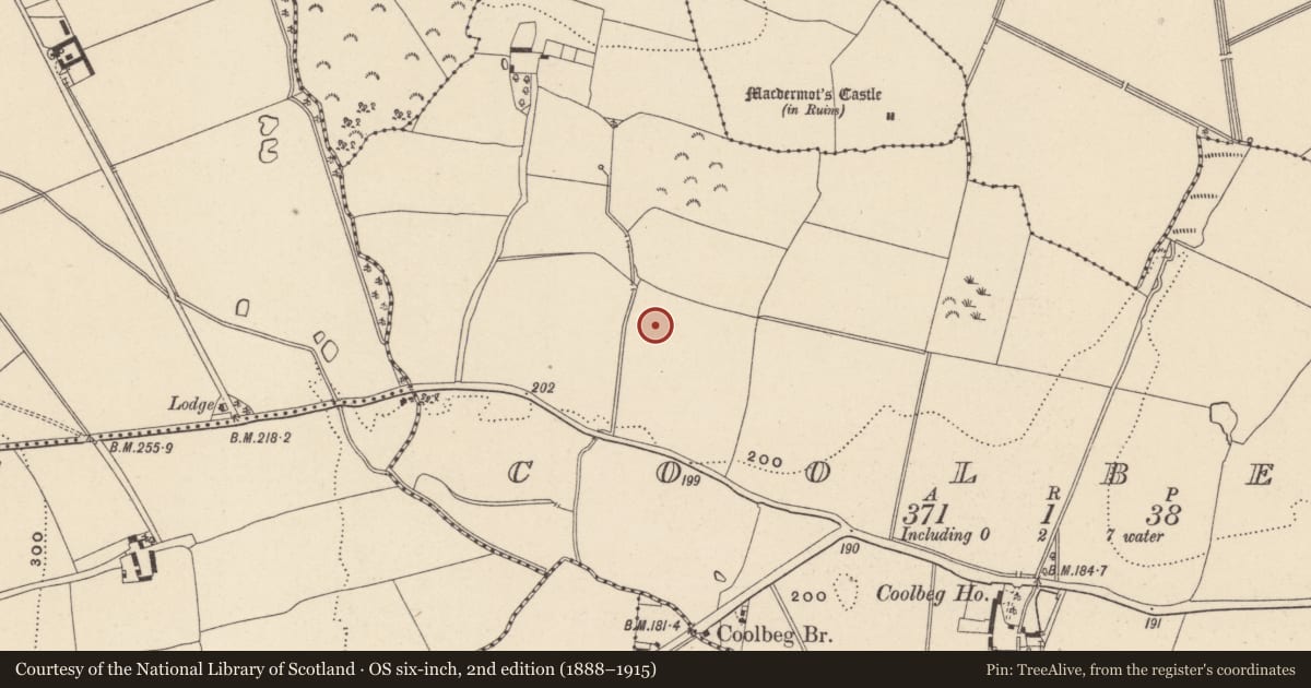 Ordnance Survey six-inch map, 2nd edition (1888–1915) covering the location of Fulacht fia, Coolbeg, County Wicklow, with a pin at the register's coordinates