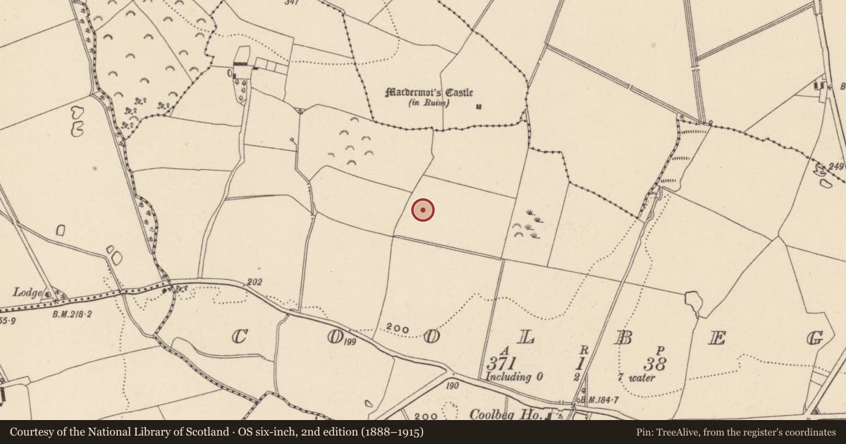 Ordnance Survey six-inch map, 2nd edition (1888–1915) covering the location of Fulacht fia, Coolbeg, County Wicklow, with a pin at the register's coordinates