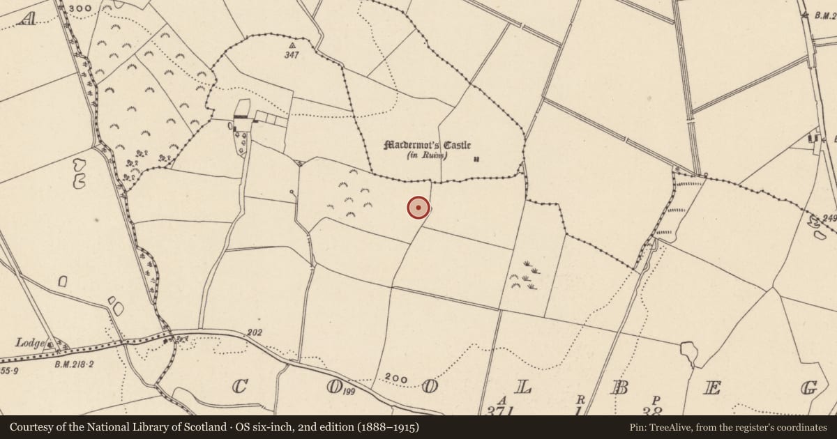 Ordnance Survey six-inch map, 2nd edition (1888–1915) covering the location of Fulacht fia, Coolbeg, County Wicklow, with a pin at the register's coordinates