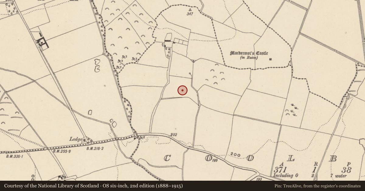 Ordnance Survey six-inch map, 2nd edition (1888–1915) covering the location of Fulacht fia, Coolbeg, County Wicklow, with a pin at the register's coordinates