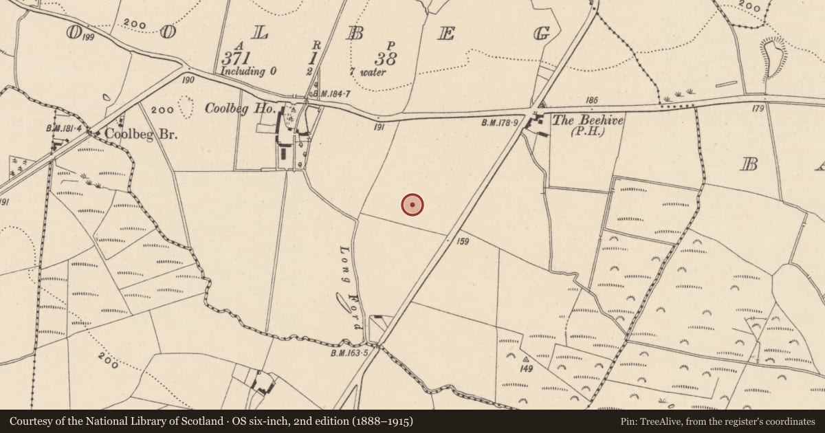 Ordnance Survey six-inch map, 2nd edition (1888–1915) covering the location of Pit, Coolbeg, County Wicklow, with a pin at the register's coordinates