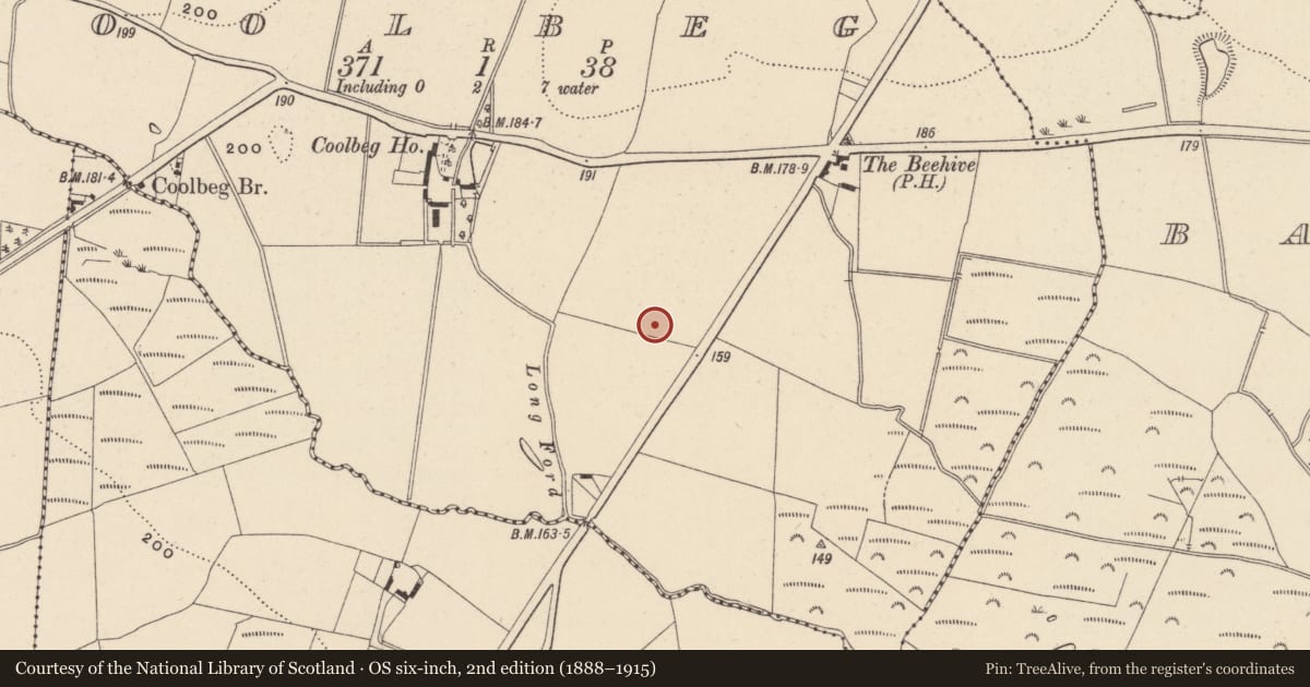 Ordnance Survey six-inch map, 2nd edition (1888–1915) covering the location of Pit, Coolbeg, County Wicklow, with a pin at the register's coordinates
