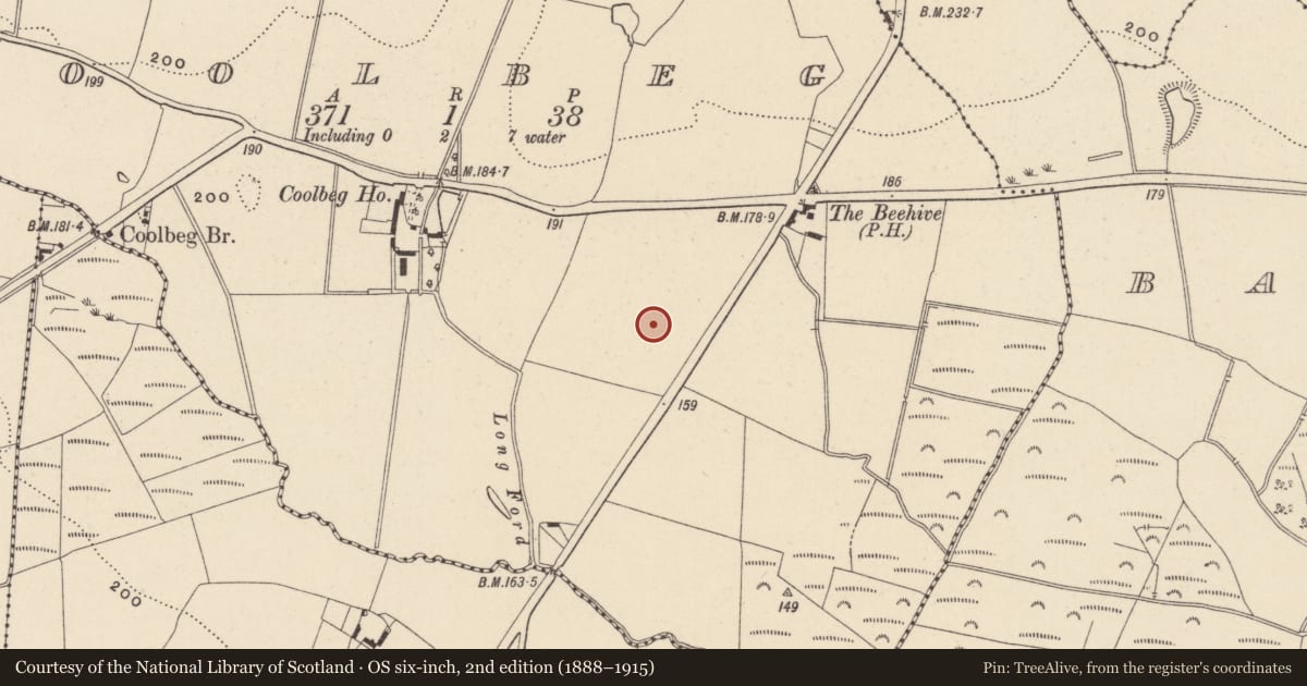 Ordnance Survey six-inch map, 2nd edition (1888–1915) covering the location of Pit, Coolbeg, County Wicklow, with a pin at the register's coordinates