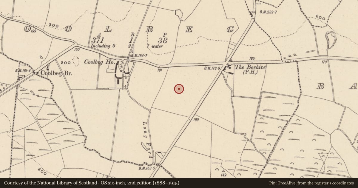 Ordnance Survey six-inch map, 2nd edition (1888–1915) covering the location of Kiln - corn-drying, Coolbeg, County Wicklow, with a pin at the register's coordinates