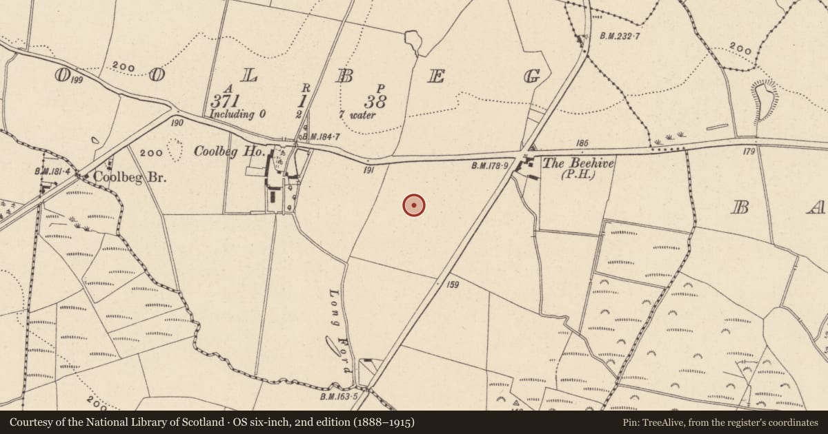 Ordnance Survey six-inch map, 2nd edition (1888–1915) covering the location of Kiln - corn-drying, Coolbeg, County Wicklow, with a pin at the register's coordinates