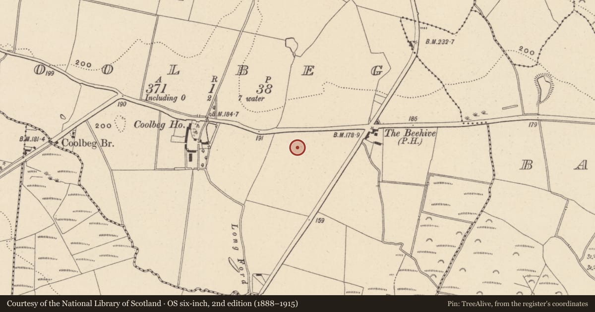 Ordnance Survey six-inch map, 2nd edition (1888–1915) covering the location of Kiln - corn-drying, Coolbeg, County Wicklow, with a pin at the register's coordinates