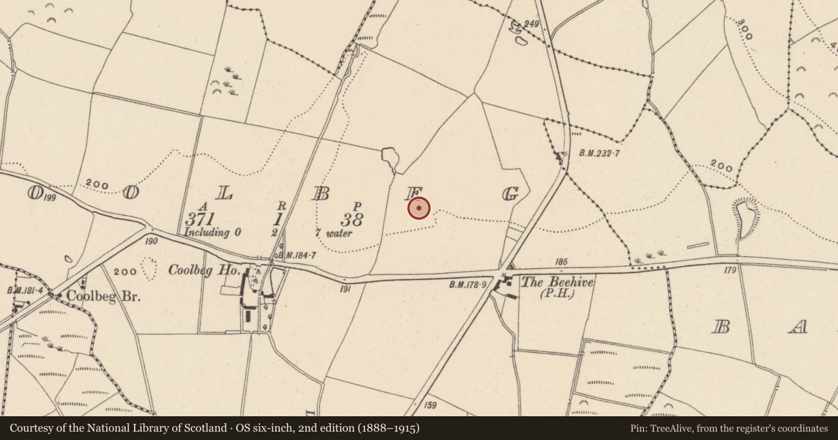 Ordnance Survey six-inch map, 2nd edition (1888–1915) covering the location of Excavation - miscellaneous, Coolbeg, County Wicklow, with a pin at the register's coordinates