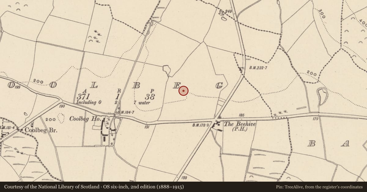 Ordnance Survey six-inch map, 2nd edition (1888–1915) covering the location of Kiln - corn-drying, Coolbeg, County Wicklow, with a pin at the register's coordinates