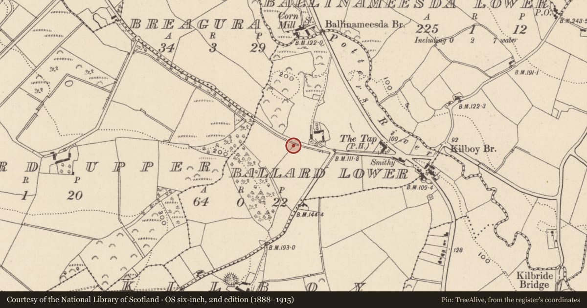 Ordnance Survey six-inch map, 2nd edition (1888–1915) covering the location of Burnt spread, Coolbeg, County Wicklow, with a pin at the register's coordinates