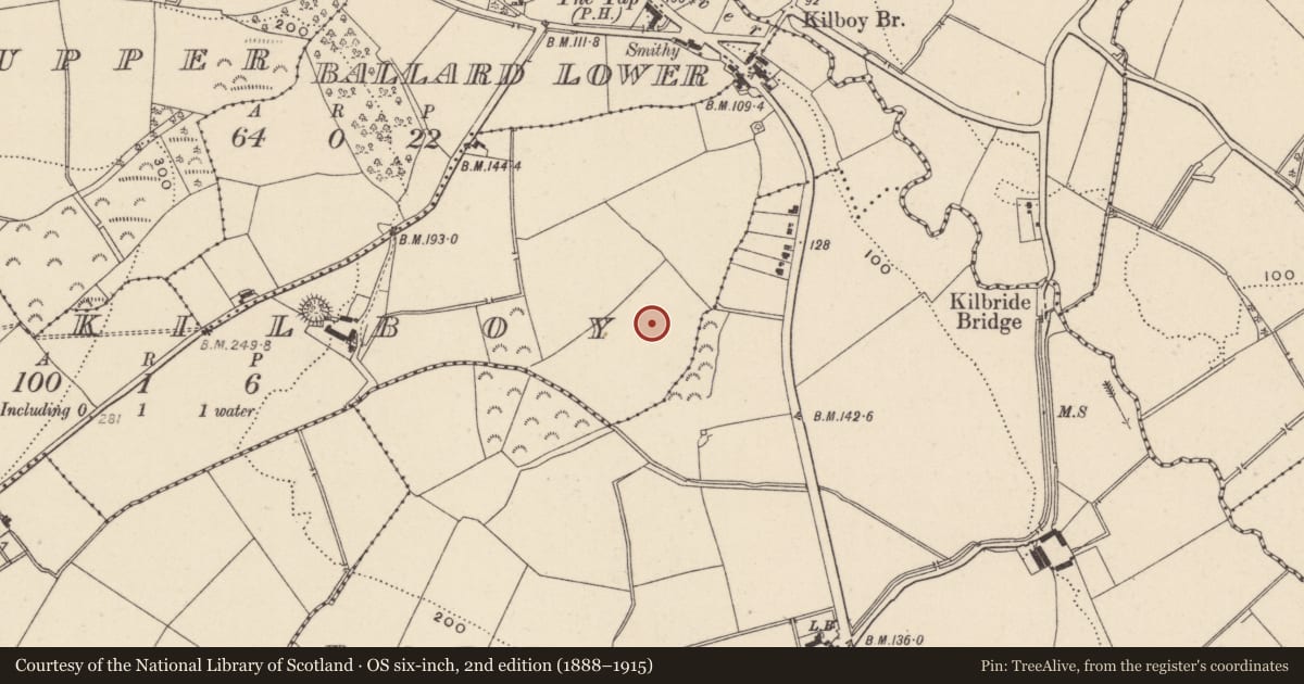 Ordnance Survey six-inch map, 2nd edition (1888–1915) covering the location of Pit, Ballard Lower, County Wicklow, with a pin at the register's coordinates