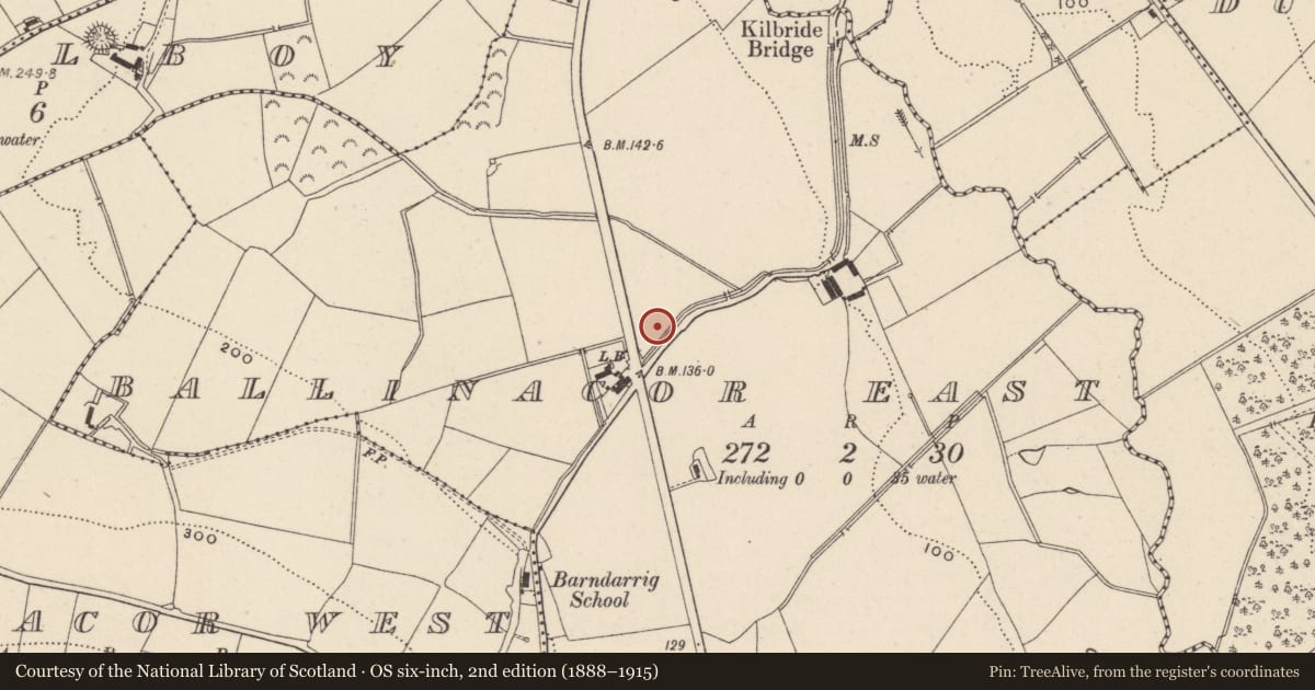 Ordnance Survey six-inch map, 2nd edition (1888–1915) covering the location of Excavation - miscellaneous, Ballinacor East, County Wicklow, with a pin at the register's coordinates