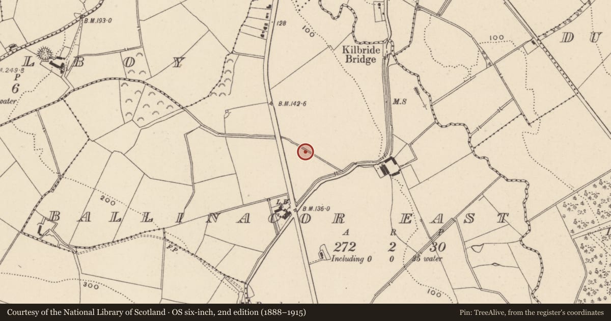 Ordnance Survey six-inch map, 2nd edition (1888–1915) covering the location of Burnt mound, Ballinacor East, County Wicklow, with a pin at the register's coordinates