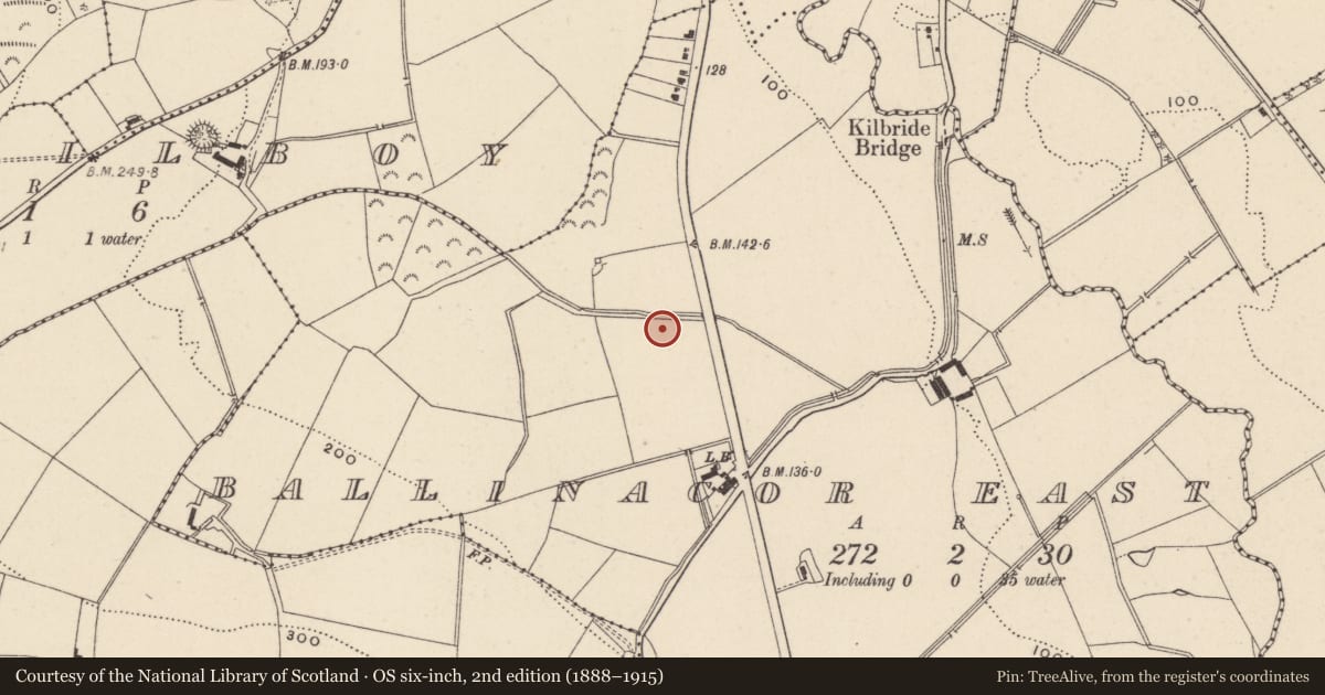 Ordnance Survey six-inch map, 2nd edition (1888–1915) covering the location of Excavation - miscellaneous, Ballinacor East, County Wicklow, with a pin at the register's coordinates