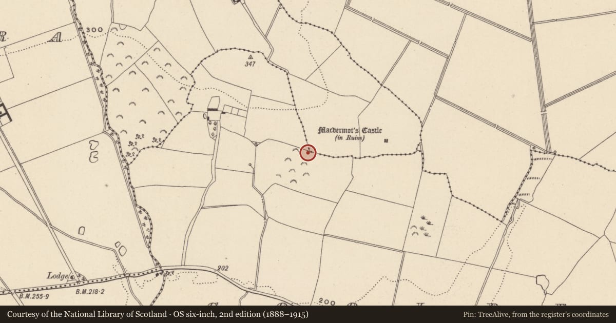 Ordnance Survey six-inch map, 2nd edition (1888–1915) covering the location of Habitation site, Coolbeg, County Wicklow, with a pin at the register's coordinates