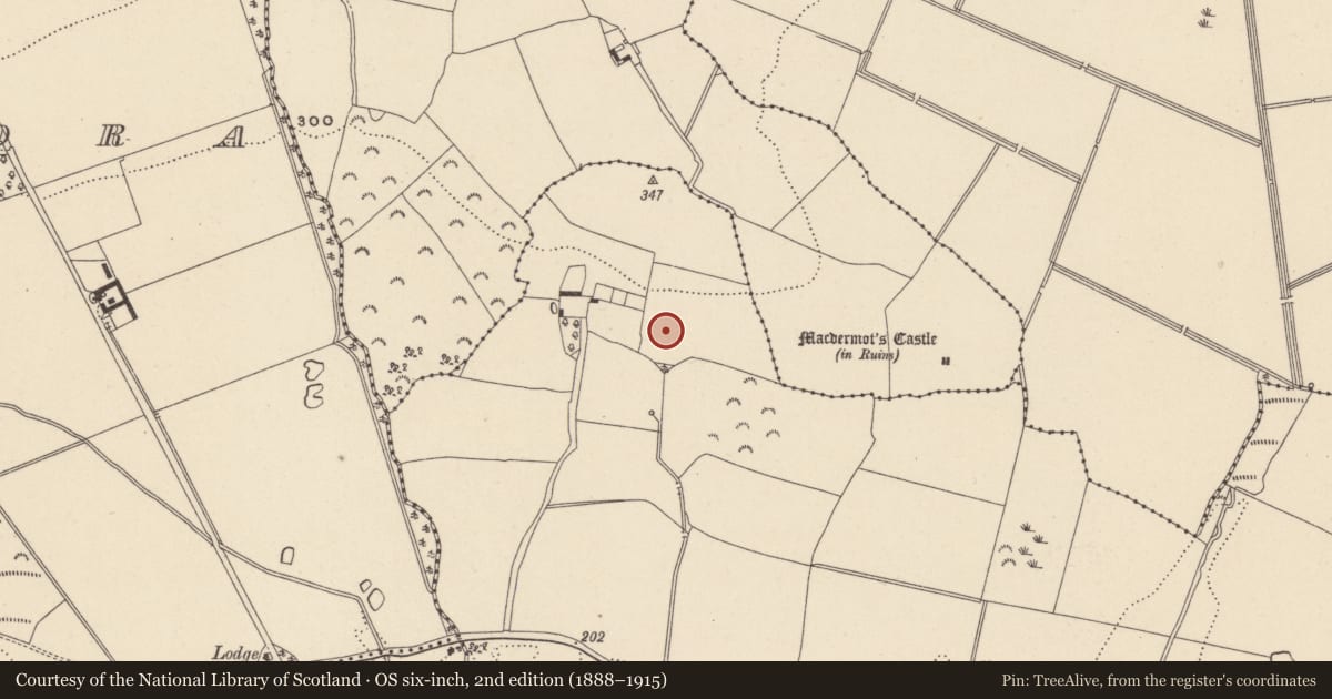 Ordnance Survey six-inch map, 2nd edition (1888–1915) covering the location of House - Iron Age, Coolbeg, County Wicklow, with a pin at the register's coordinates