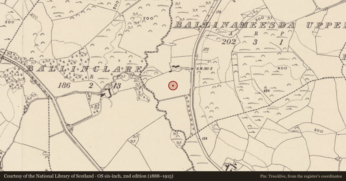 Ordnance Survey six-inch map, 2nd edition (1888–1915) covering the location of Burnt mound, Ballinameesda Upper, County Wicklow, with a pin at the register's coordinates