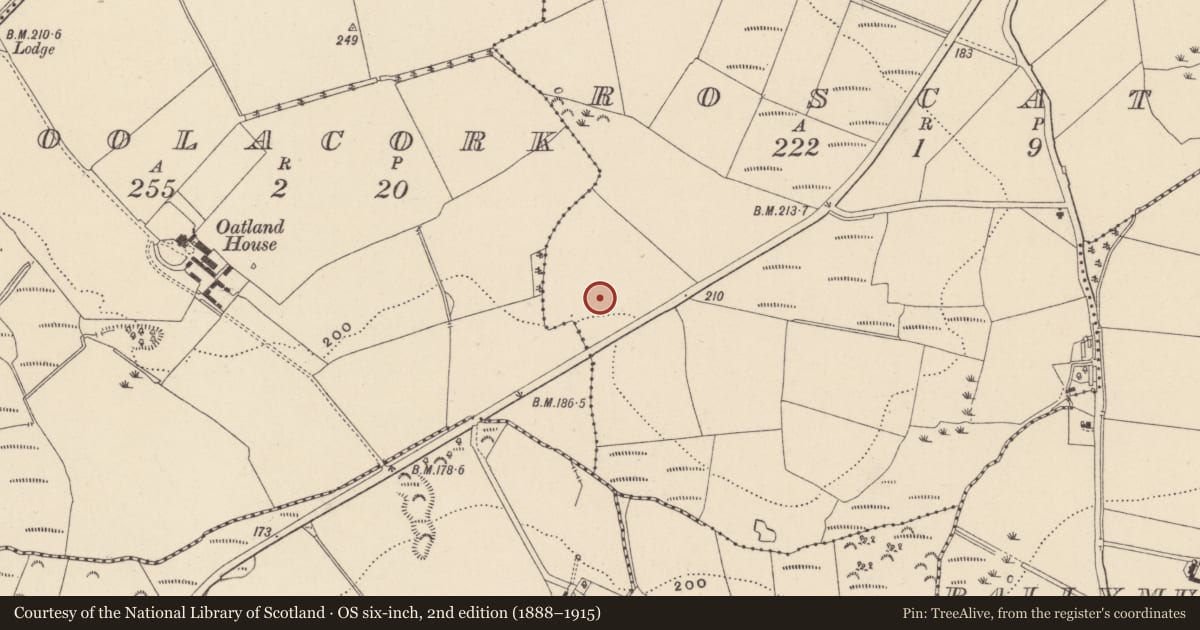 Ordnance Survey six-inch map, 2nd edition (1888–1915) covering the location of Burnt mound, Roscath, County Wicklow, with a pin at the register's coordinates