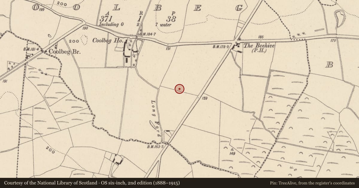 Ordnance Survey six-inch map, 2nd edition (1888–1915) covering the location of Burnt spread, Coolbeg, County Wicklow, with a pin at the register's coordinates