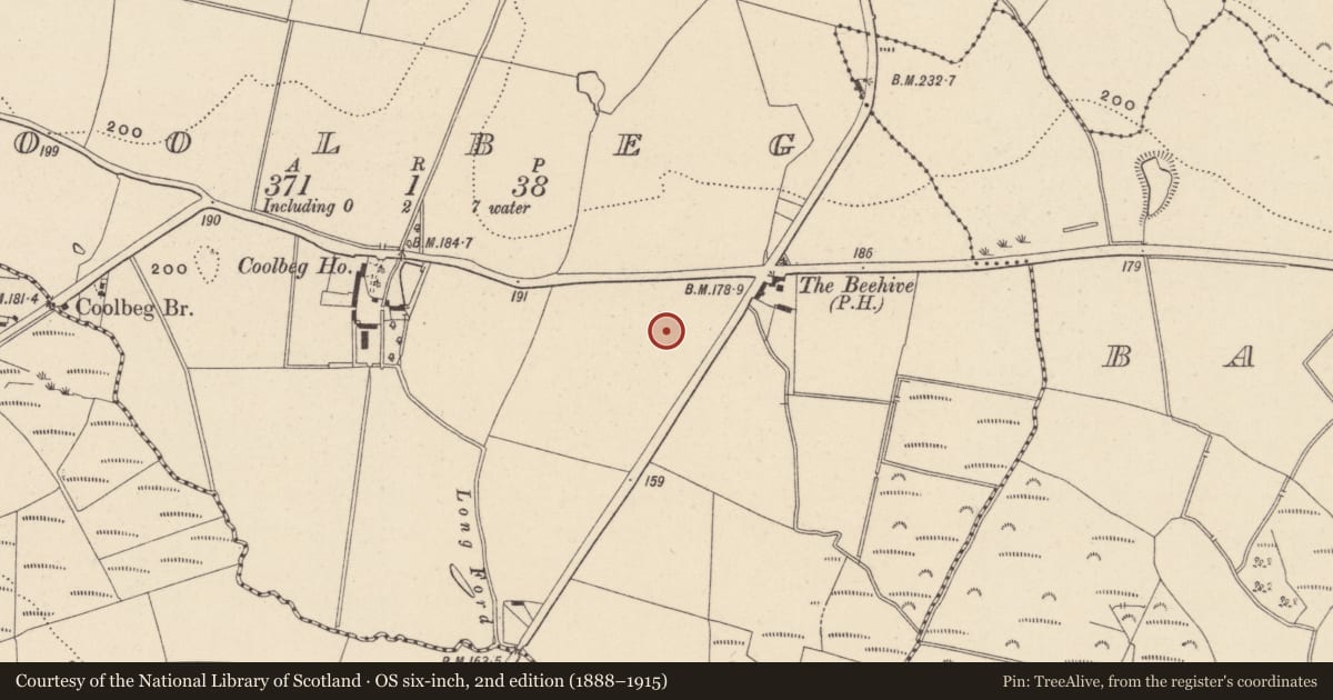 Ordnance Survey six-inch map, 2nd edition (1888–1915) covering the location of Pit, Coolbeg, County Wicklow, with a pin at the register's coordinates