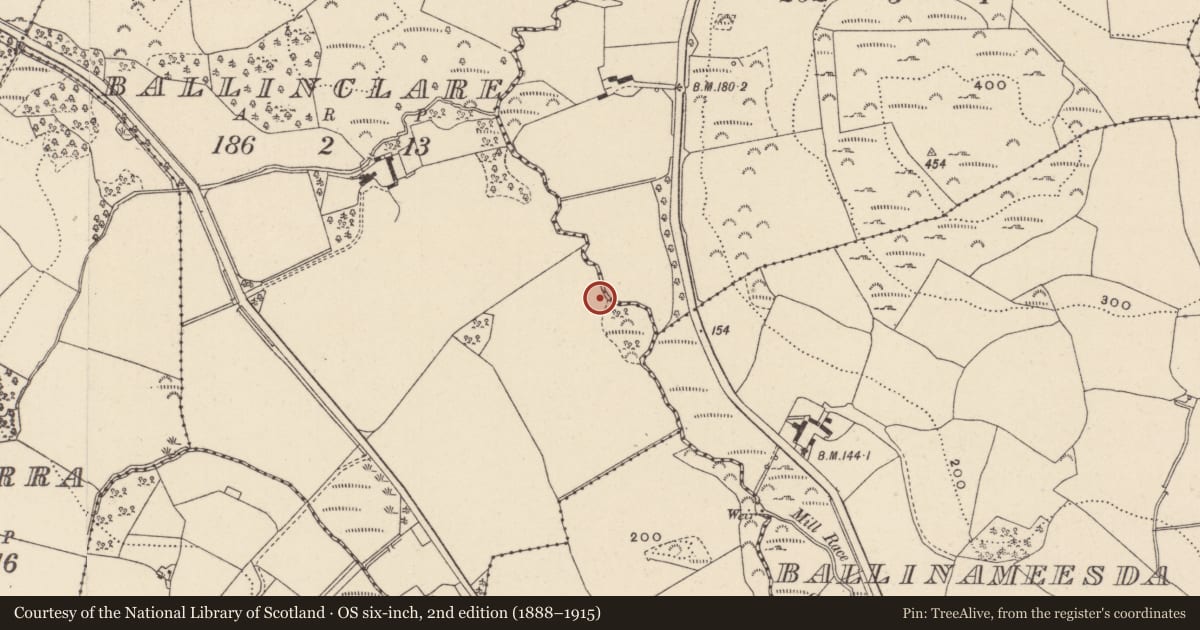 Ordnance Survey six-inch map, 2nd edition (1888–1915) covering the location of Burnt spread, Ballinclare, County Wicklow, with a pin at the register's coordinates