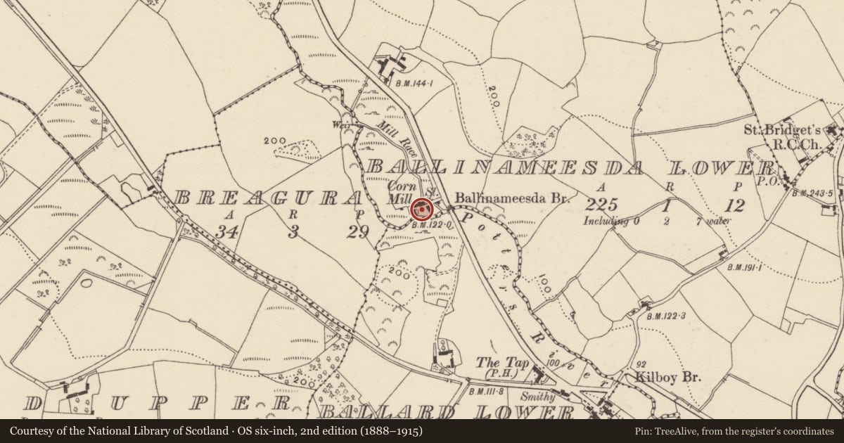 Ordnance Survey six-inch map, 2nd edition (1888–1915) covering the location of Fulacht fia, Ballinameesda Lower, County Wicklow, with a pin at the register's coordinates