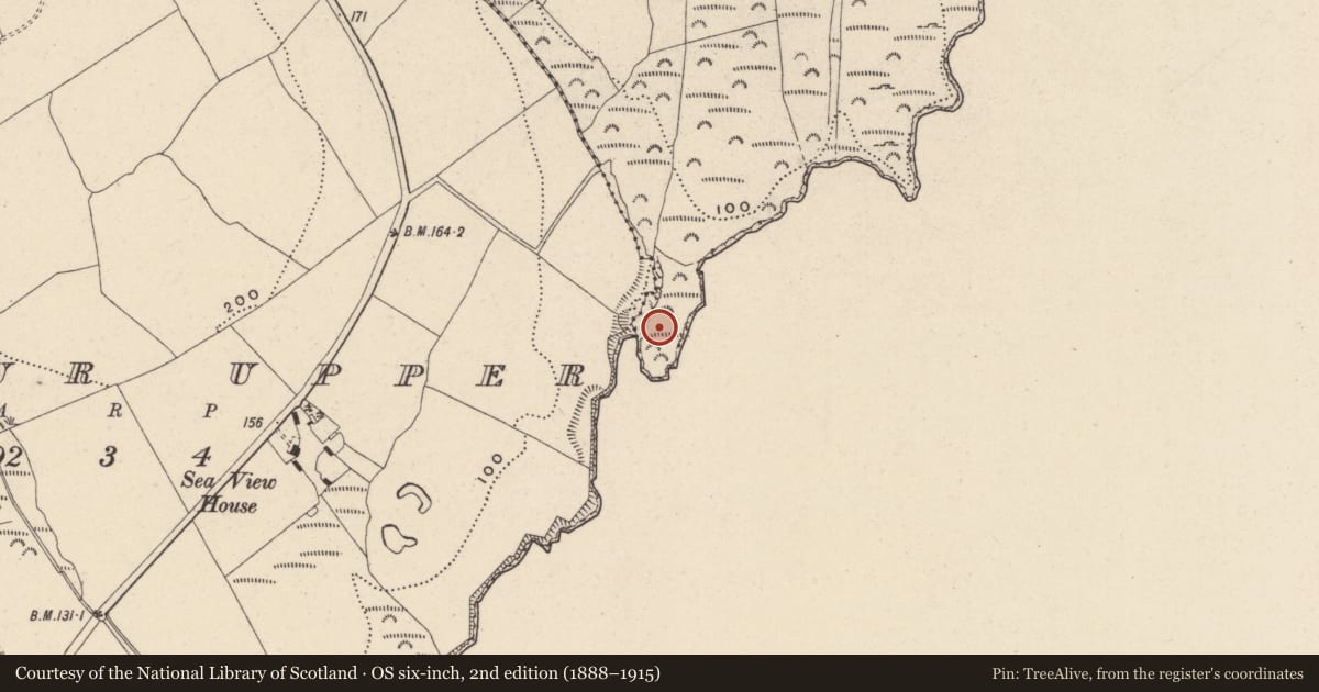 Ordnance Survey six-inch map, 2nd edition (1888–1915) covering the location of Promontory fort - coastal, Dunbur Head, County Wicklow, with a pin at the register's coordinates
