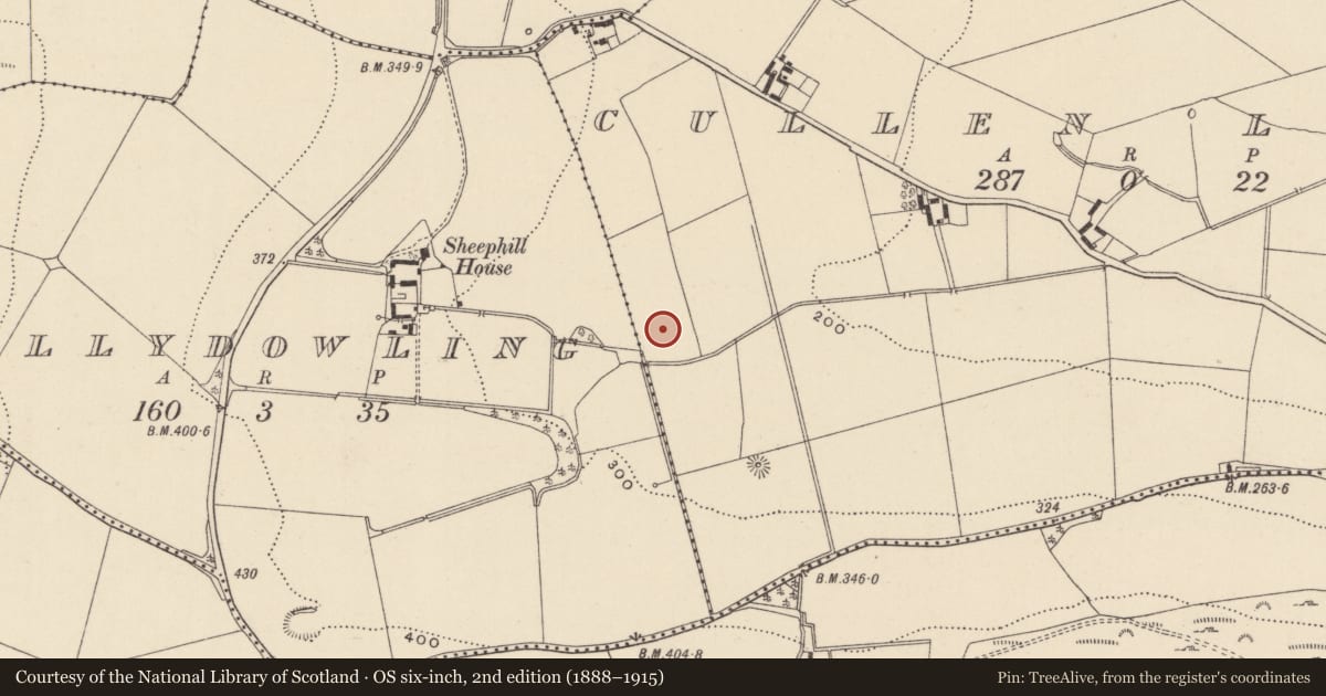 Ordnance Survey six-inch map, 2nd edition (1888–1915) covering the location of Enclosure, Cullen Lower, County Wicklow, with a pin at the register's coordinates