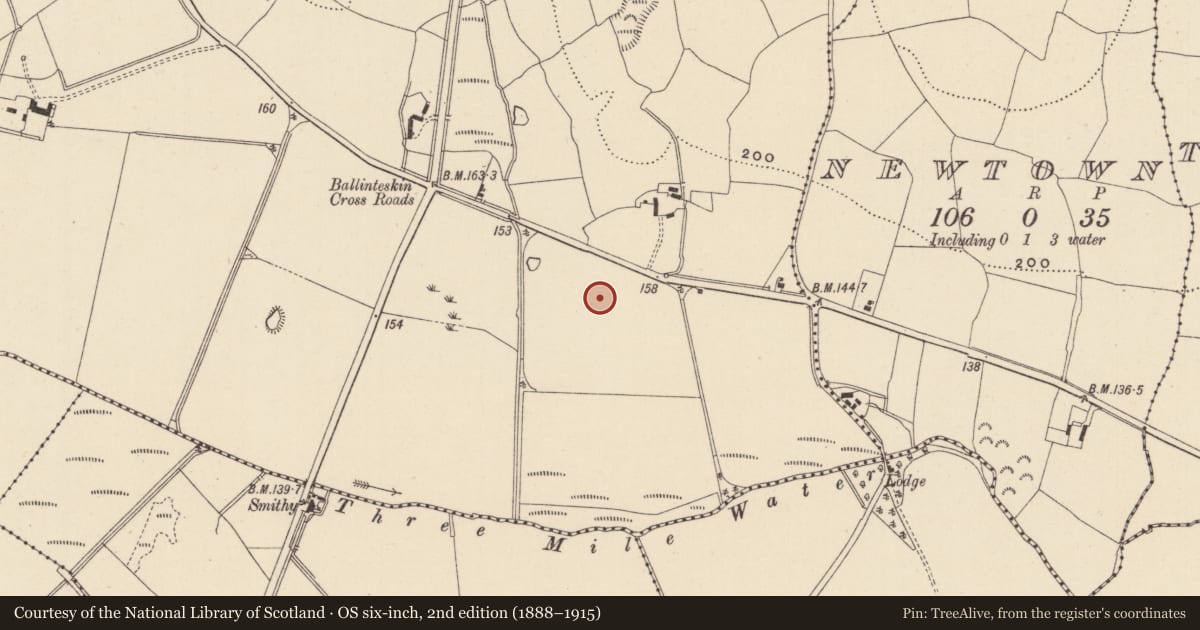 Ordnance Survey six-inch map, 2nd edition (1888–1915) covering the location of Moated site, Ballinteskin, County Wicklow, with a pin at the register's coordinates