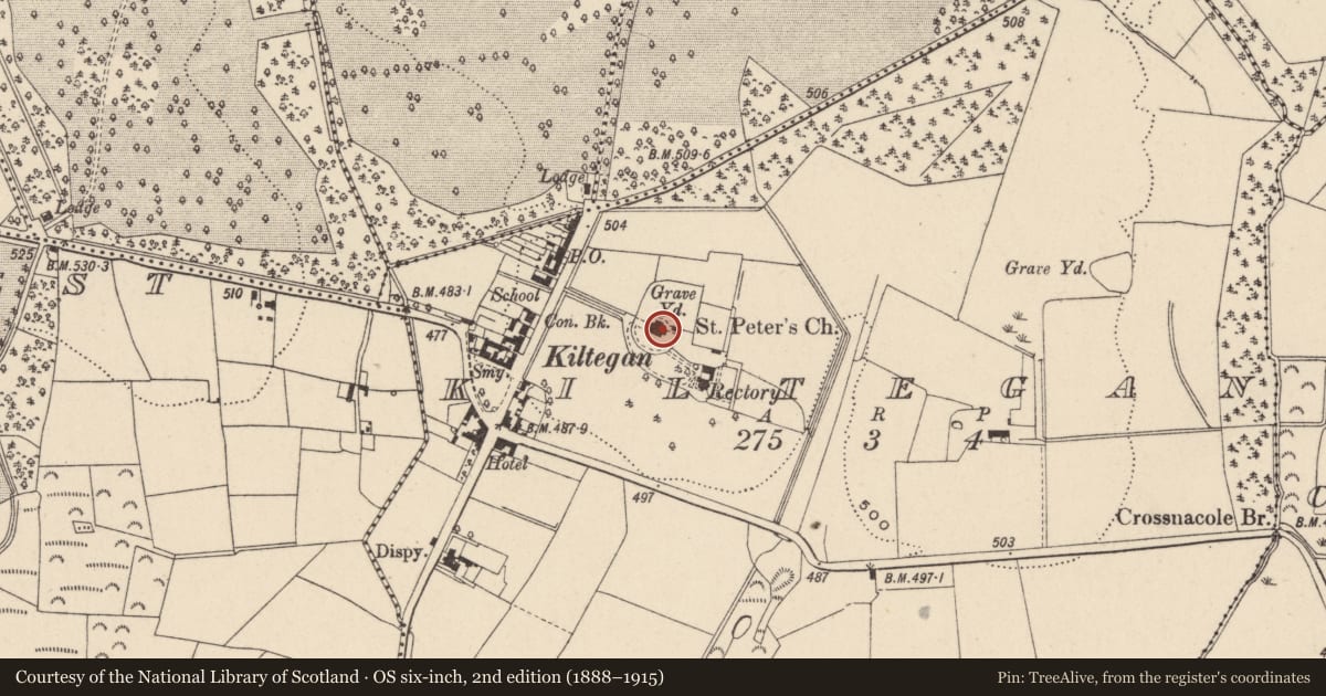 Ordnance Survey six-inch map, 2nd edition (1888–1915) covering the location of Graveyard, Kiltegan, County Wicklow, with a pin at the register's coordinates