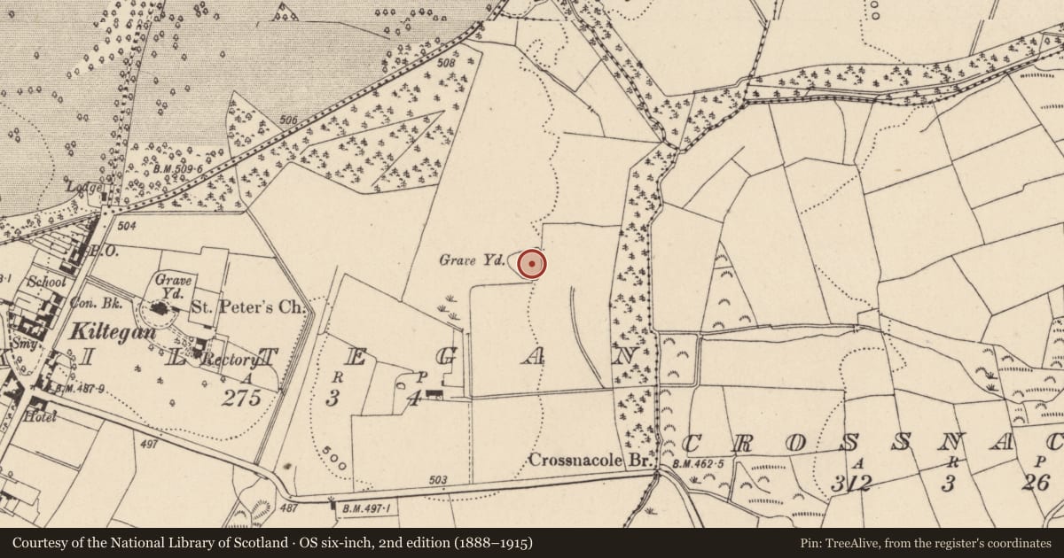 Ordnance Survey six-inch map, 2nd edition (1888–1915) covering the location of Burial ground, Kiltegan, County Wicklow, with a pin at the register's coordinates