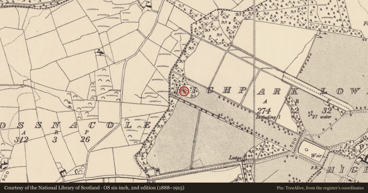 Ordnance Survey six-inch map, 2nd edition (1888–1915) covering the location of Enclosure, Highpark Lower, County Wicklow, with a pin at the register's coordinates