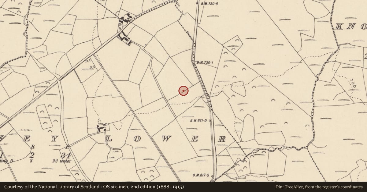 Ordnance Survey six-inch map, 2nd edition (1888–1915) covering the location of Enclosure, Kilcarney Lower, County Wicklow, with a pin at the register's coordinates