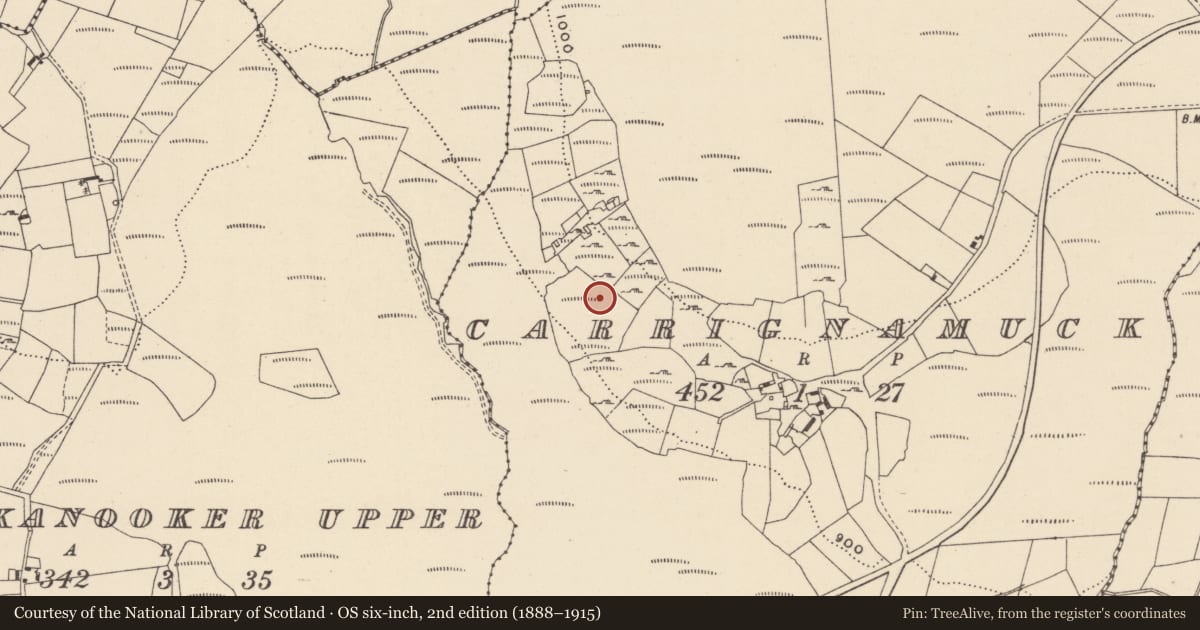 Ordnance Survey six-inch map, 2nd edition (1888–1915) covering the location of Booley hut, Carrignamuck, County Wicklow, with a pin at the register's coordinates