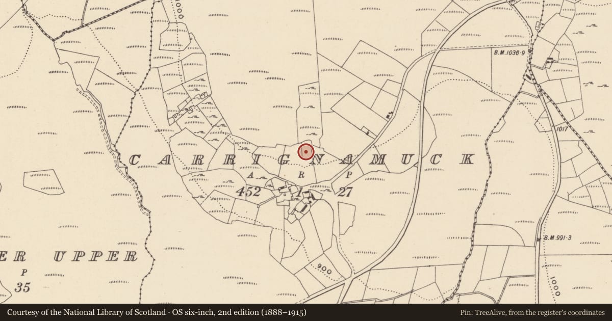 Ordnance Survey six-inch map, 2nd edition (1888–1915) covering the location of Booley hut, Carrignamuck, County Wicklow, with a pin at the register's coordinates