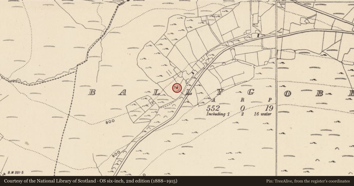 Ordnance Survey six-inch map, 2nd edition (1888–1915) covering the location of Enclosure, Ballygobban, County Wicklow, with a pin at the register's coordinates